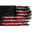 American Fit