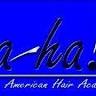 American Hair Academy