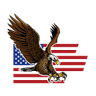American Hawk Security