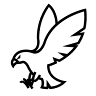 American Term