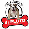 Pluto's Friends