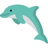 Anna Maria Island Dolphin Tours