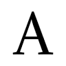 Amiga Bridal store