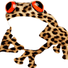 Amphibious Zoo Entertainment Group