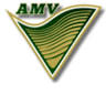 AMV Fortaleza