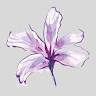 Anam Chara Natural Health