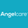 Angelcare Monitors