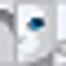 Animal Eye Institute of Cincinnati: Haeussler D J DVM