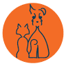 Animal Hospital Randolph