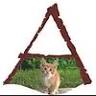 Oasi degli Animali