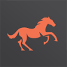 Animi Equine