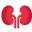 American Nephrology Nurses