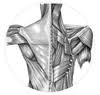 Ann Brien Myotherapy & Remedial Massage