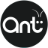 Ant Antics