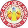 Amar Nath Vidya Ashram Senior Secondary School