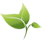Anwan Wellness Medical Center