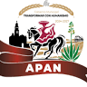 Presidencia Municipal de Apan