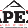 Apex Insurance Consultants