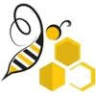 Api-Banat C.S. - Magazin apicol