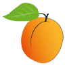 Aprico