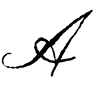 Australian Quarter Horse Association