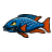 Aquaristik-Deals