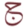 Arabic Calligraphy Services