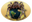 Arachno-World