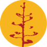 Explora Trekking Store