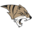 Ardmore High School