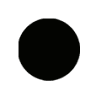 Argiaren Basoa