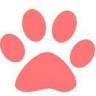 Aristocat Luxury Cat Hotel 5 Star Rated by Chesterfield Borough Council