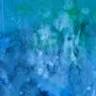 Armadale Society of Artists