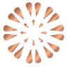 Arphea