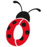 Arrow Termite and Pest Control - Monroe