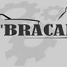 art bracam