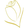 ARTS FLORES PERMANENTES