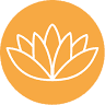 asanayoga store GmbH - Dein nachhaltiger Yoga Shop