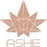 ASHE Society