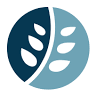 ASH Chartered Surveyors