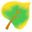 Aspen Leaf Yoga and Wellness