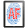 Assiform