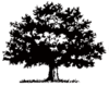 Astor Neighborhood Association