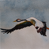 Aquarelle von Hanka und Frank Koebsch