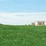 Athletic Turf Solutions
