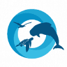 Atlantic Eco Experience
