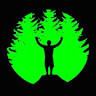 At Last Forest School