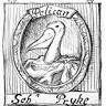 At the Sign of the Pelican
