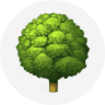 Au Cœur Du Vert