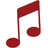 Audio-Video Synergy Inc